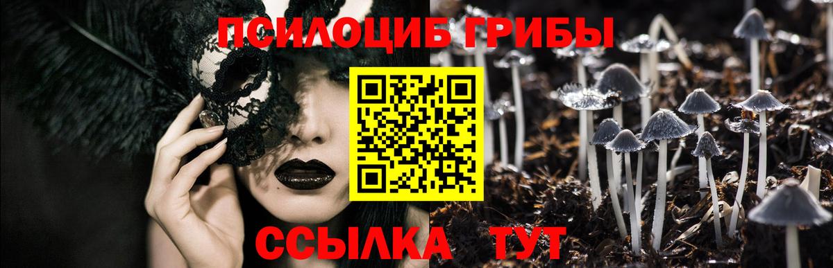 Галлюциногенные грибы Psilocybine cubensis  Вход с VPN  Зеленодольск 